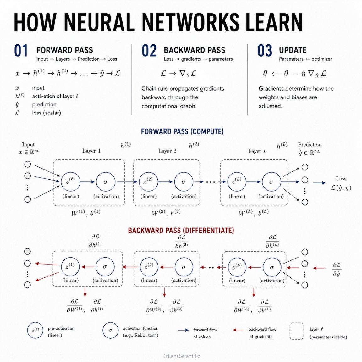 LensScientific's tweet photo. What actually happens when a neural network learns?

It starts by making a prediction. The difference between that prediction and the desired answer becomes the loss. Backpropagation then works backward through the network, using the chain rule to determine how much each weight and bias contributed to that error. An optimizer uses those gradients to adjust the parameters, and the process repeats, often millions of times.