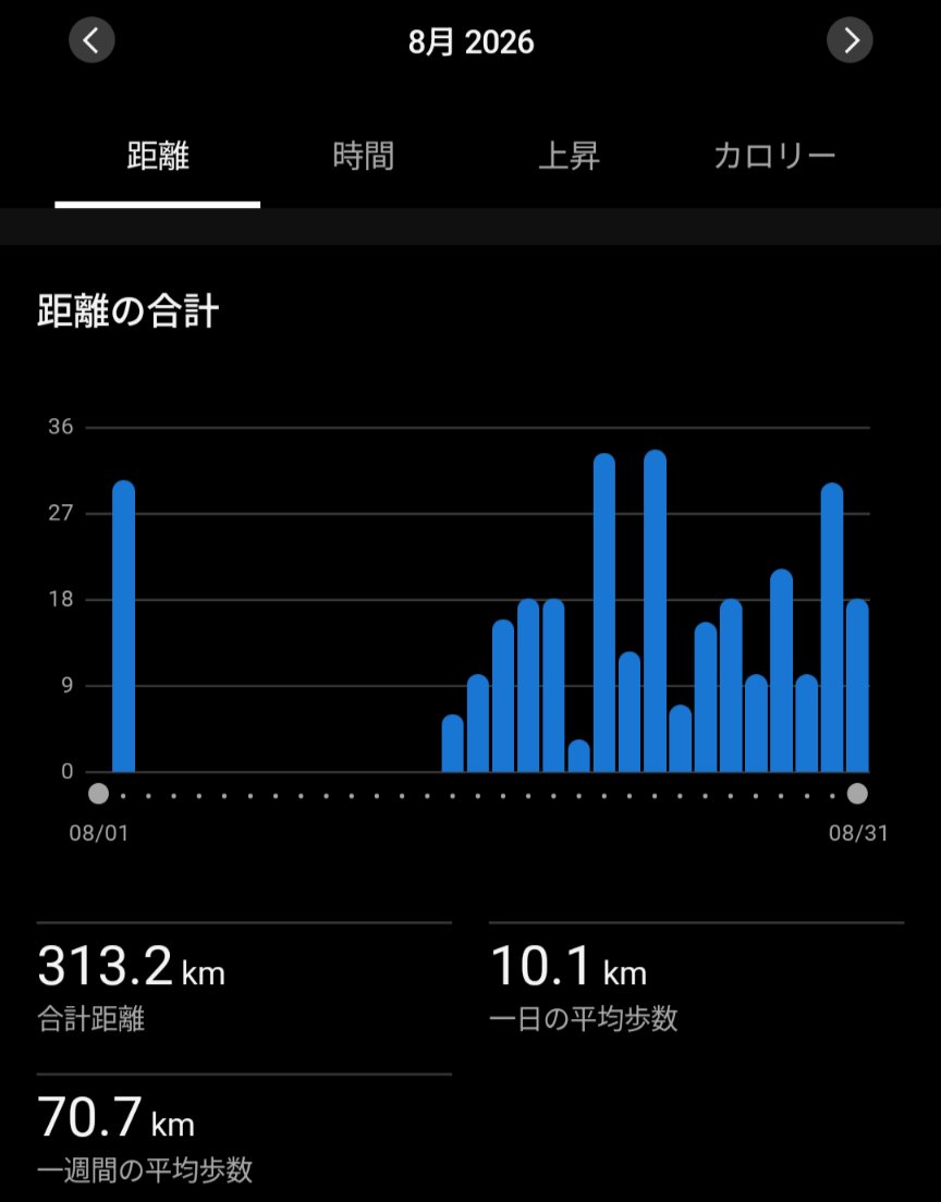 Kawasekk's tweet photo. 8月は滅茶苦茶な走り方したな⋯。月間300kmは達成。 https://t.co/pbofWWS3zq