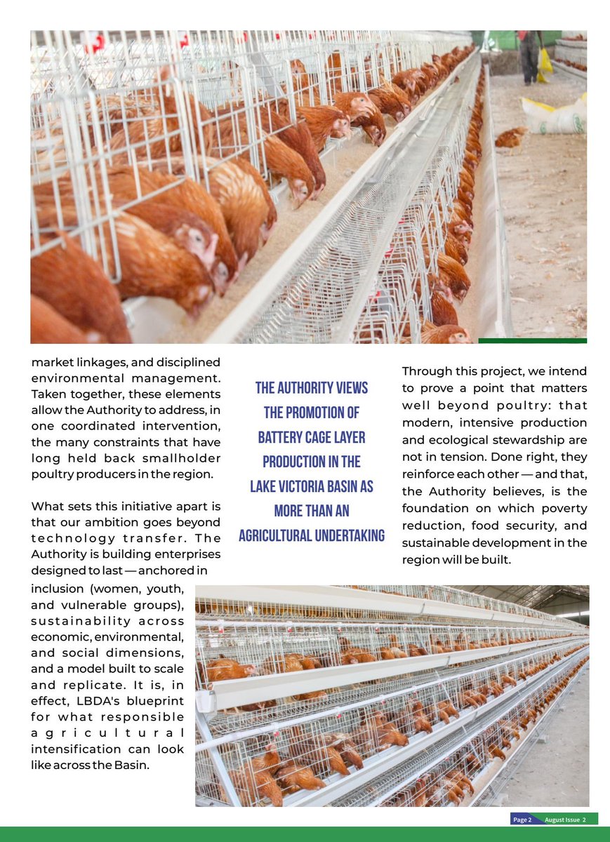 LBDAgov's tweet photo. 𝐀𝐮𝐠𝐮𝐬𝐭 𝐍𝐄𝐖𝐒 𝐔𝐏𝐃𝐀𝐓𝐄
Download the August Issue Newsletter from our website https://t.co/QUMjNfeygo 
#SmartSustainableDevelopment https://t.co/iQ2FQfUFgE
