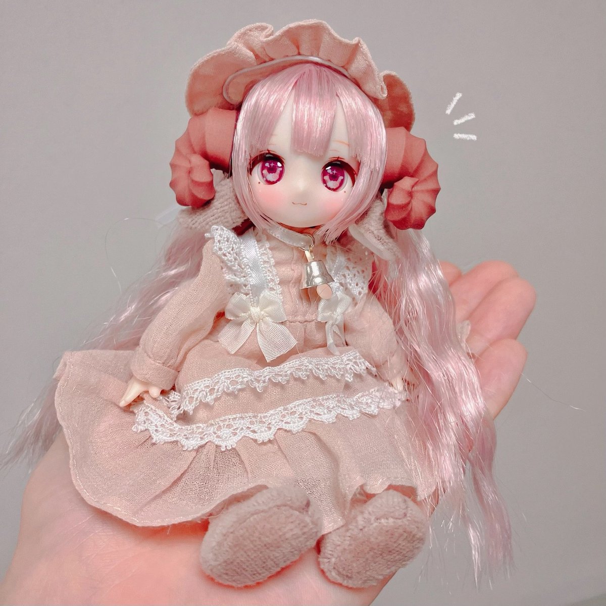 midori_1217MK's tweet photo. ちょこん https://t.co/RWGbscZGQJ