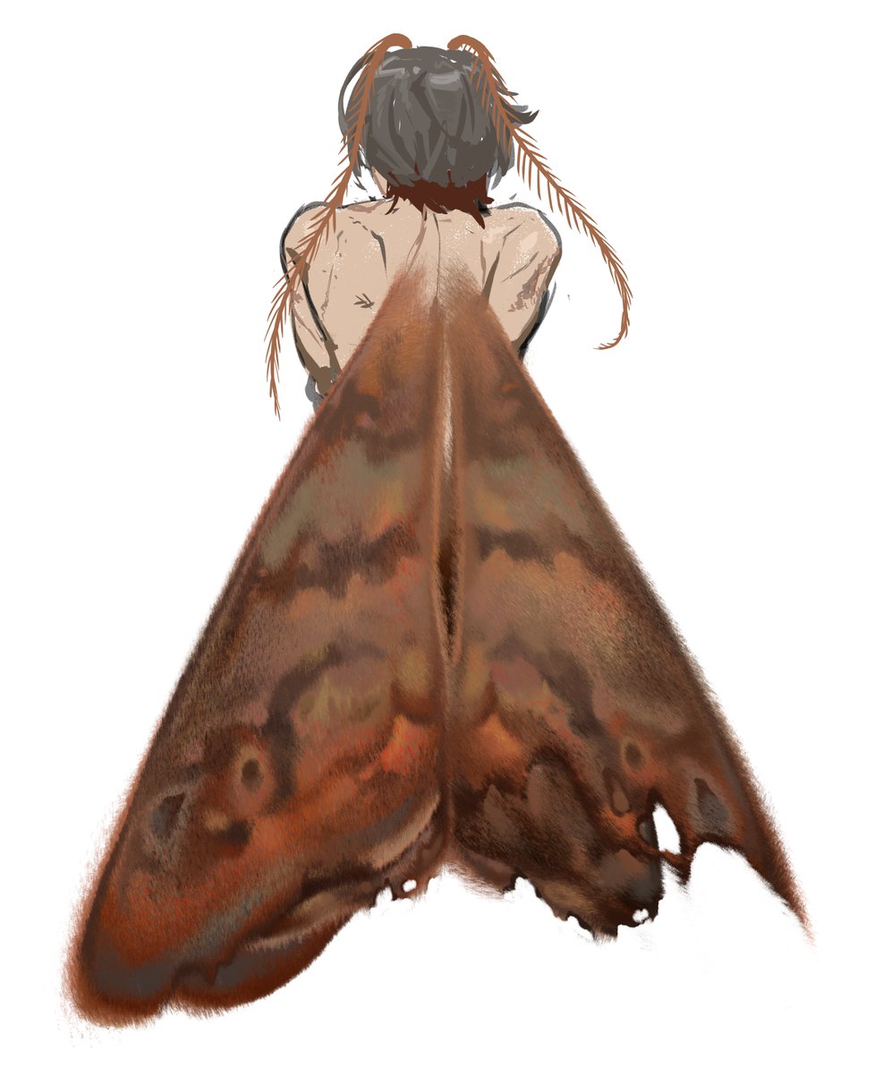 aeuvia's tweet photo. moth illuga thoughts #faelight https://t.co/IrwnmLh0cx