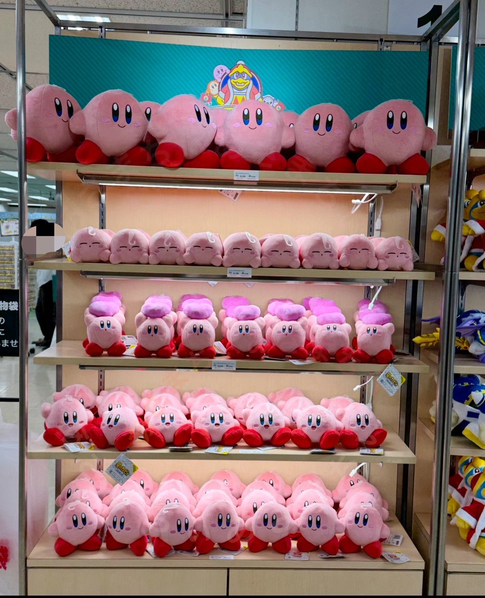 apoyo_poyo_poyo's tweet photo. あぁ、みっちり在庫の時に味わえるかわいさがあるよねぇええ

#デデデデパート
#大丸福岡天神店
#星のカービィ
#デデデ大王
#カービィ
#福岡
#マリモクラフト https://t.co/mjqG6D6lrT