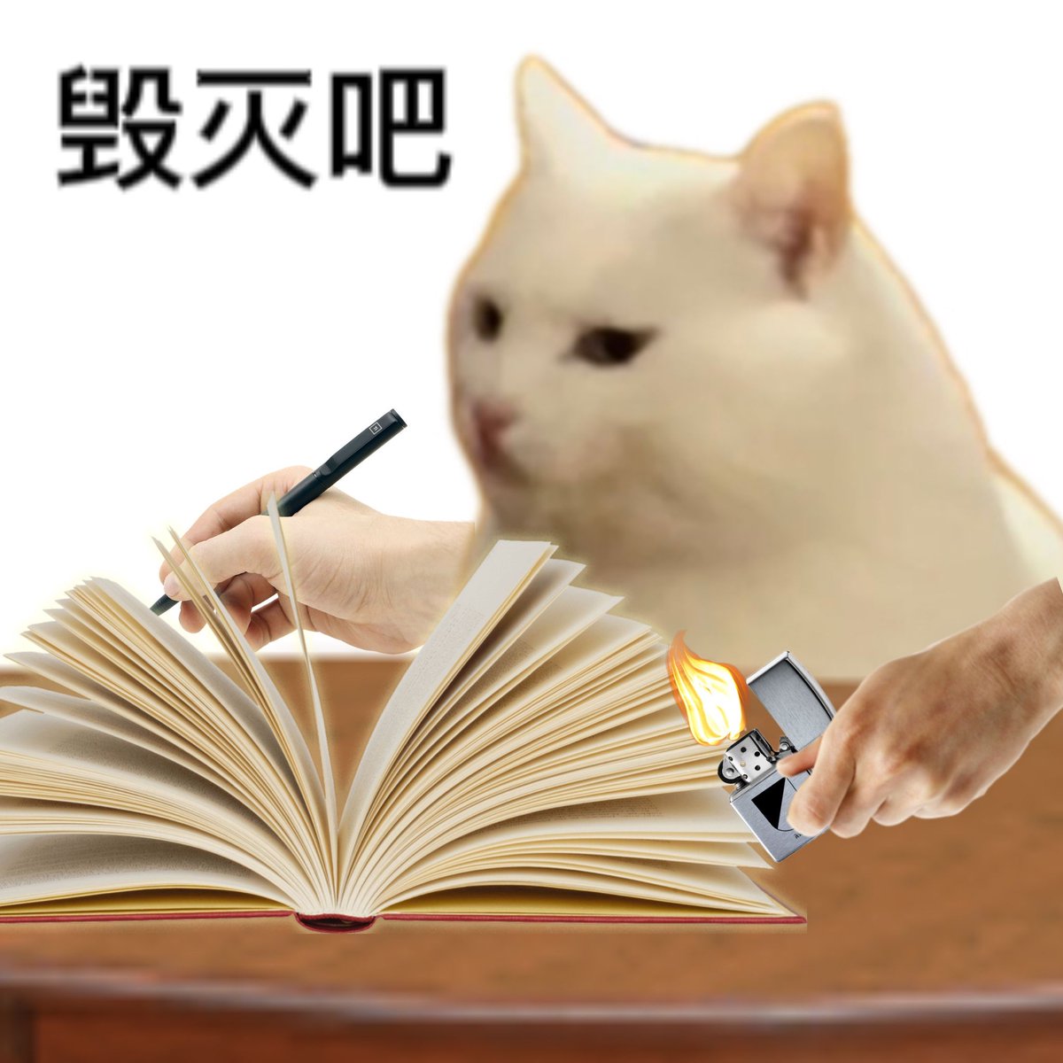 RONCESVANIA's tweet photo. Turned in a group project where my teammate left a meme of a cat wearing a graduation cap as the only visual—got a 98/100. Prof said "this is the only presentation I’ve ever enjoyed reading". https://t.co/b9VevqrSZ8