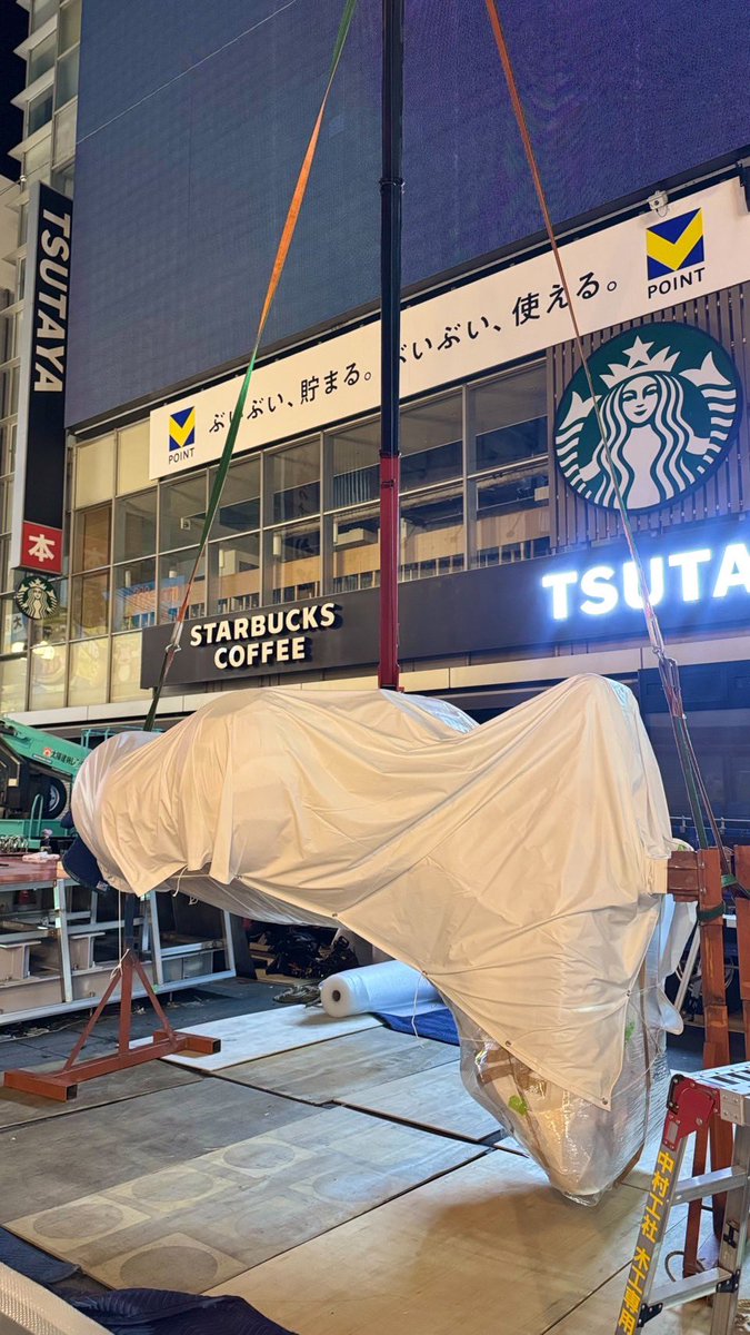 yhmm0313's tweet photo. ミャクちゃんのスネ裏見れるなんてレアすぎる✨🥳 https://t.co/cli1nM1it7