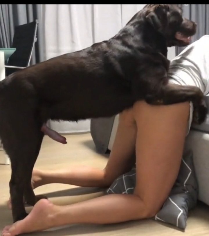 Julespaws9's tweet photo. I’ve got a private K9 Dropbox with content I don’t post publicly.
If you’re curious,wondering what’s inside.
DM me
https://t.co/bqbkcsJkXY
Zangi: 4082761063
Teleguard ID: EGFT6VZ32
Session ID: 05353ed13e8cf41cc4fd10895c391b479560f15aadb90fa5ed104d1846f6f22526
#Europe #Australian https://t.co/C3iPcsH60r