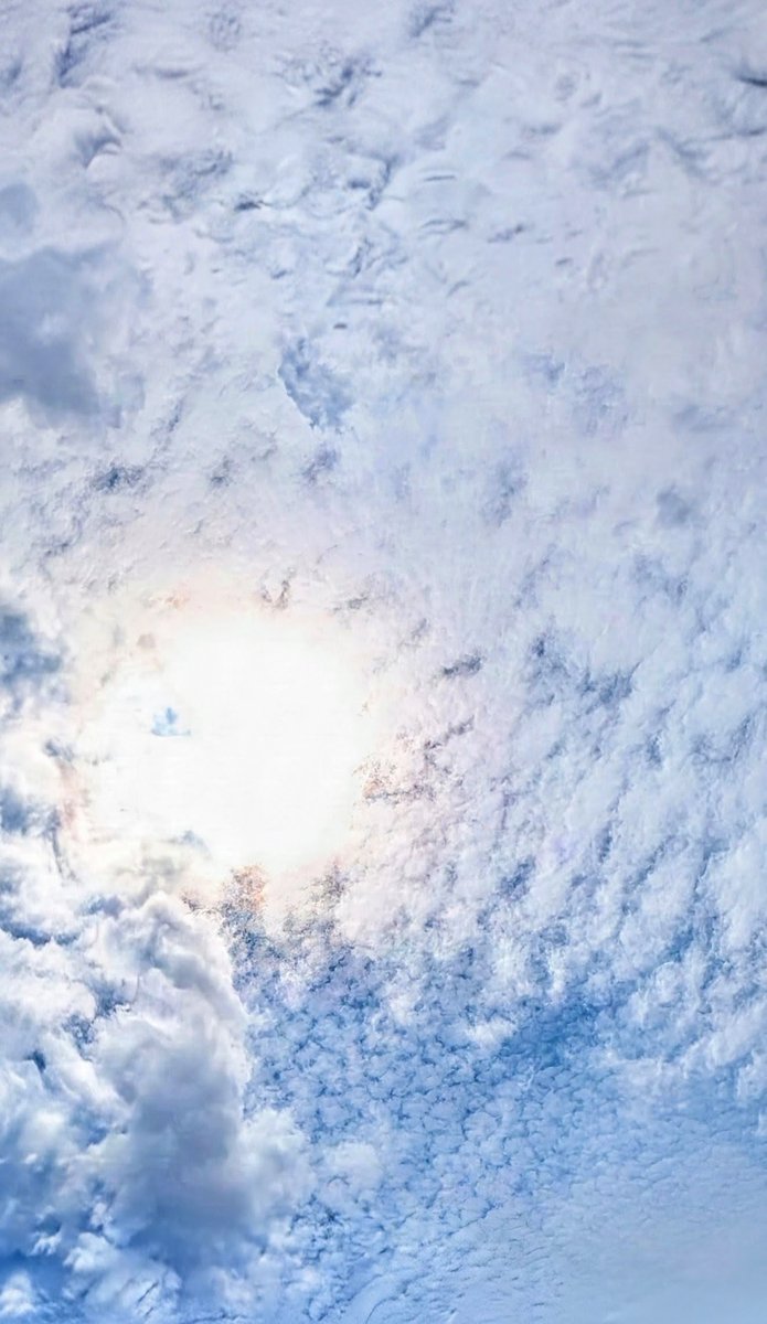naochan088's tweet photo. 雲の多い日が続いてなかなかスッキリしないお空☁☀️.°
星空もオアズケなこのごろ😿
台風🌀の行方も気になります…🙄
またまた玉子🥚をたくさんいただいたのでせっせと焼きプリン作り🍮︎︎ .*˚
lunchのデザートにはほんのりあったかいプリンをひとつ♪
いただきます~😋 https://t.co/JnrDb04idg