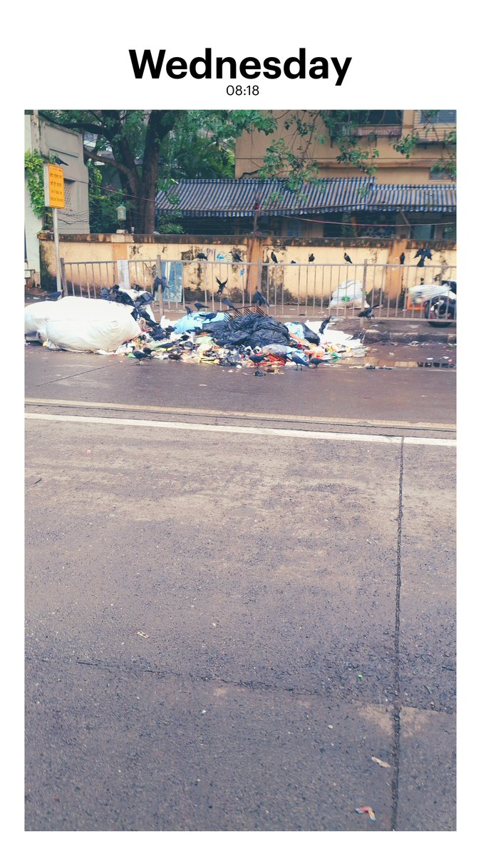 ManishaDesai1's tweet photo. @mybmcWardGS @mybmc @BmcCommissioner
Dainik Shuvner marg, worli... HOW IS A GARBAGE DUMP ON A MAIN ROAD. BMC CLEARS BUT NO ACTION TAKEN TO SOLVE PROBLEM. HAVE POSTED N NUMBER OF TIMES, https://t.co/GLkYwbBb5I