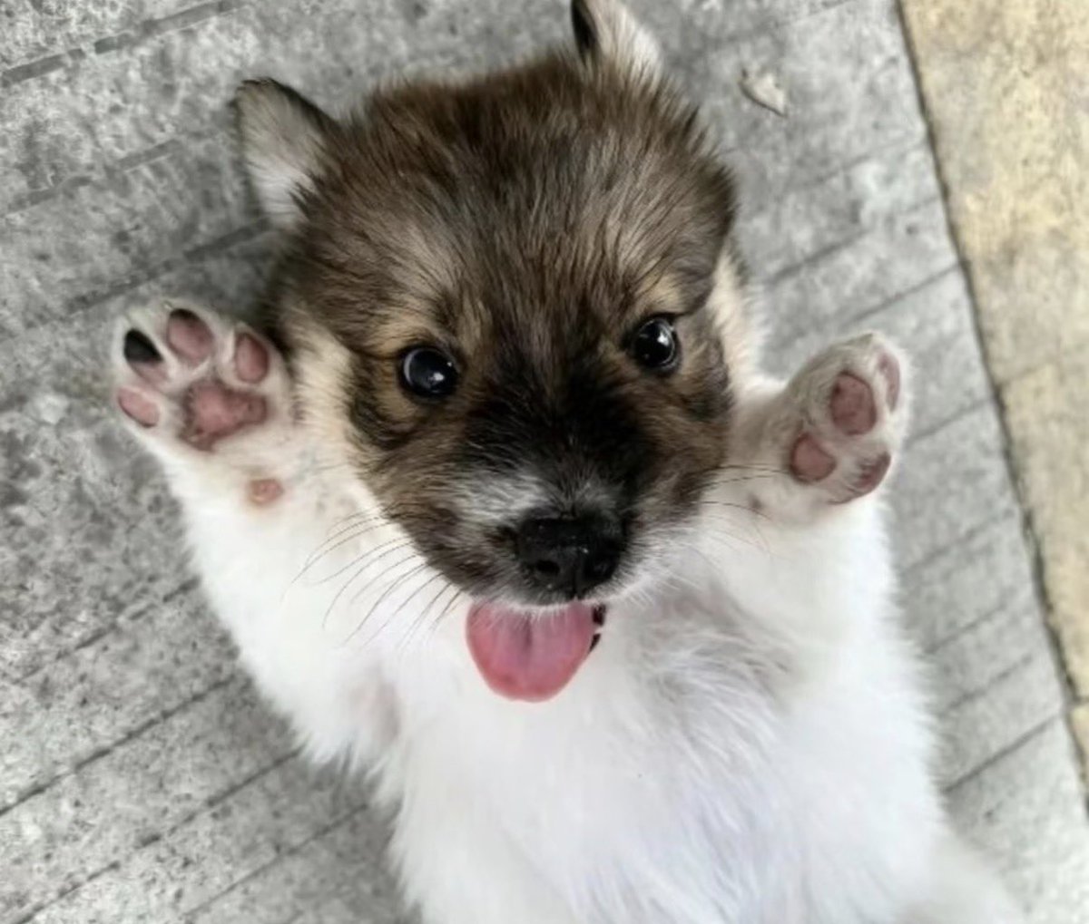 twaniimals's tweet photo. https://t.co/mD47iDFGNs