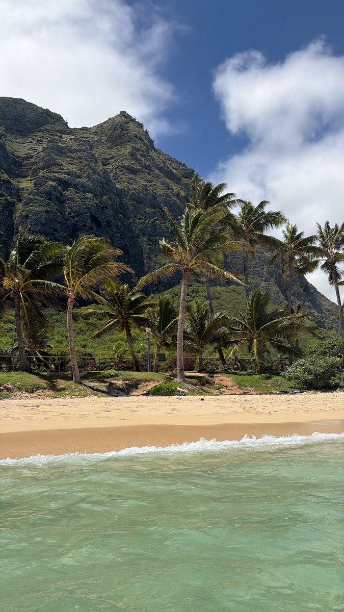 gro0vyb_'s tweet photo. 🌴🌊🥥 https://t.co/aEh3UQzHgc