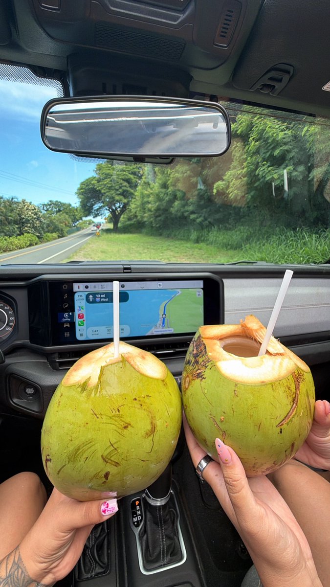 gro0vyb_'s tweet photo. 🌴🌊🥥 https://t.co/aEh3UQzHgc