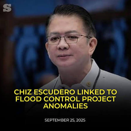 exposedpotatoe's tweet photo. Bubuhayin ko lang to guys kuha nya ang pika ng netizens eh #VPonTrial https://t.co/P2RB08mqsj
