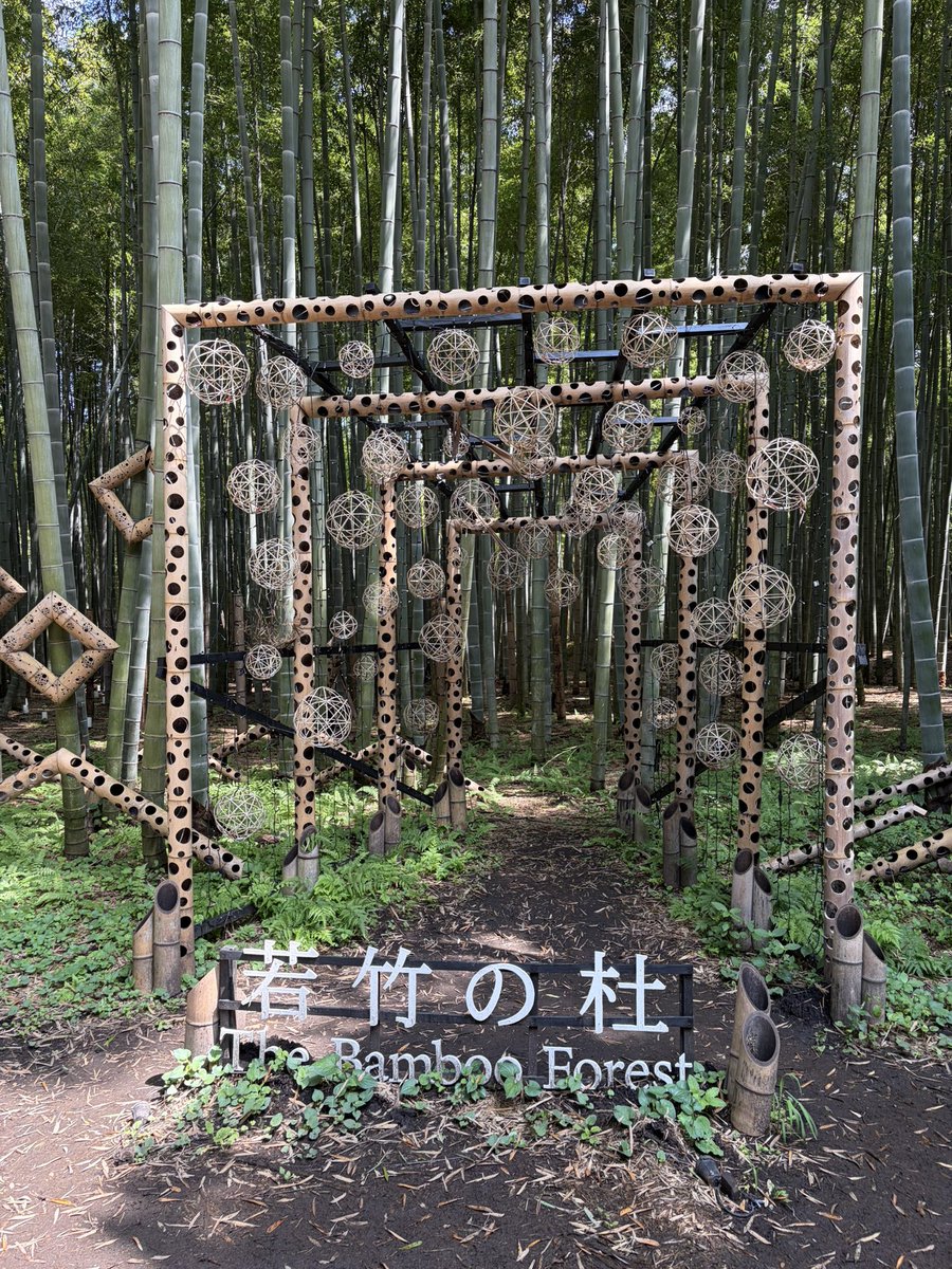 Won_Pri's tweet photo. 若竹の杜で竹林散策。昼食は、日光高原牛のビフカツを当農場のブルーベリーソースでいただきます〜😋 https://t.co/2kCl7l2Q8Q