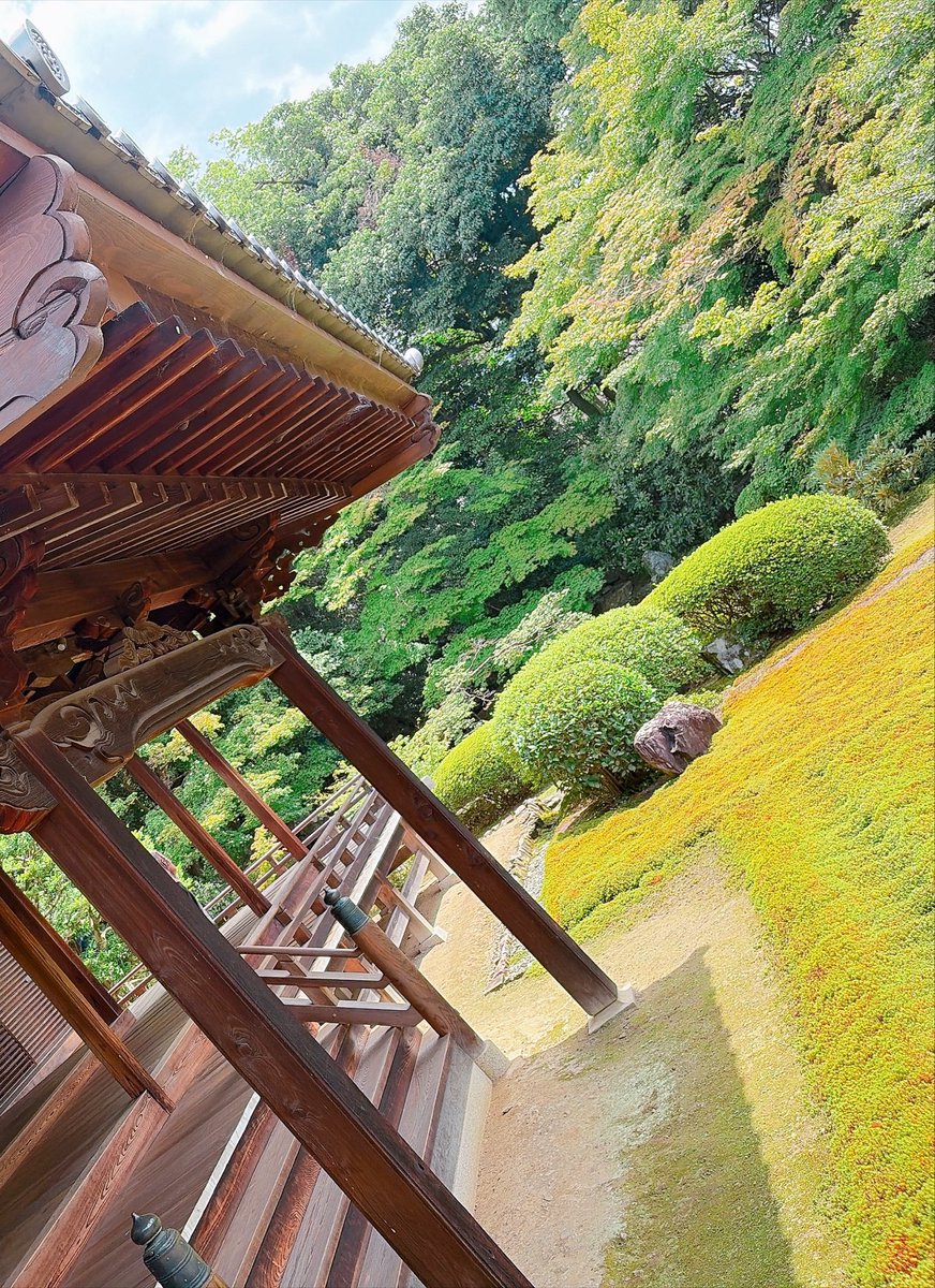 Anitora24's tweet photo. 鯉だ！！日本庭園だ！！ https://t.co/oCbNGrI94j