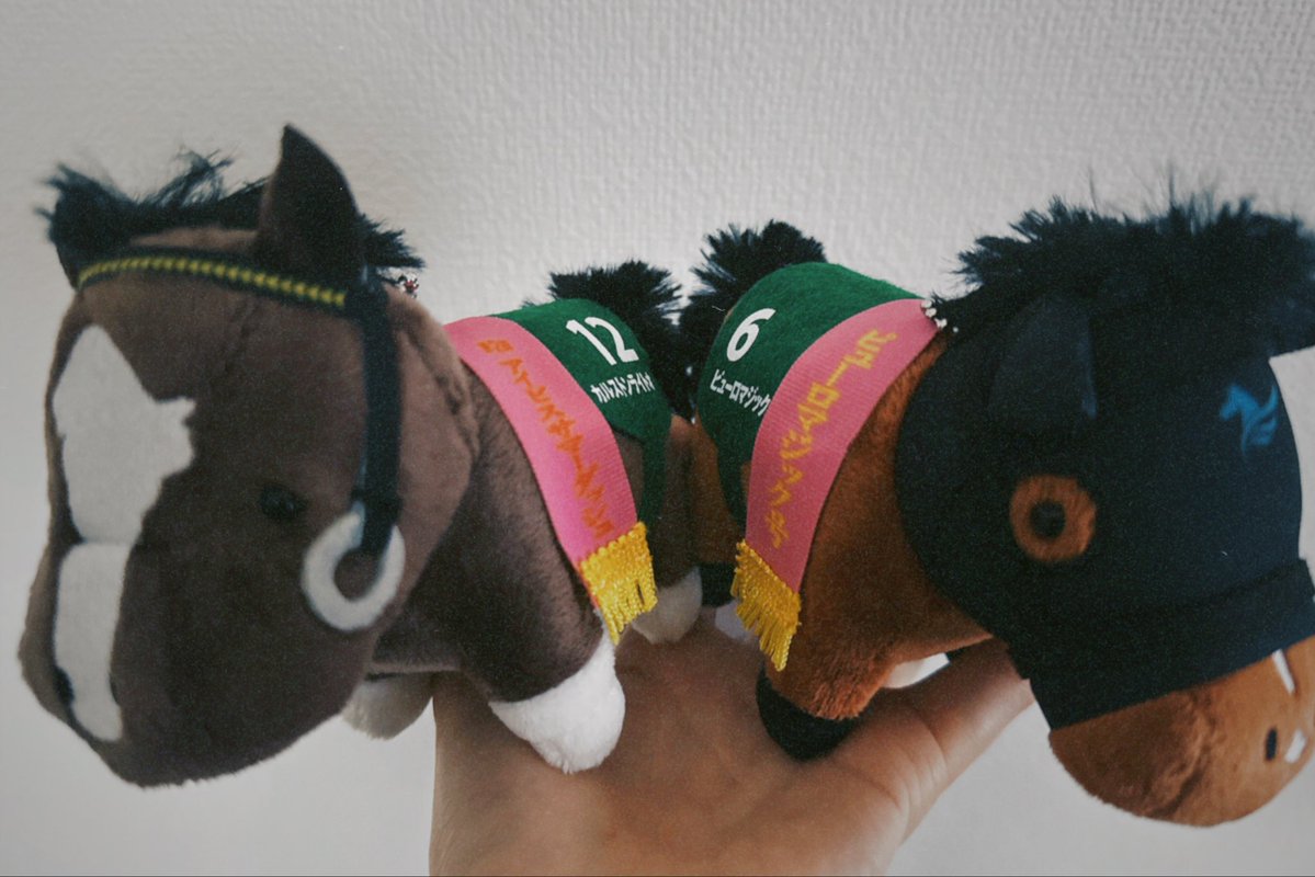 mochi_yumi25's tweet photo. 可愛🐴🐴 https://t.co/4VwvXHhQb6