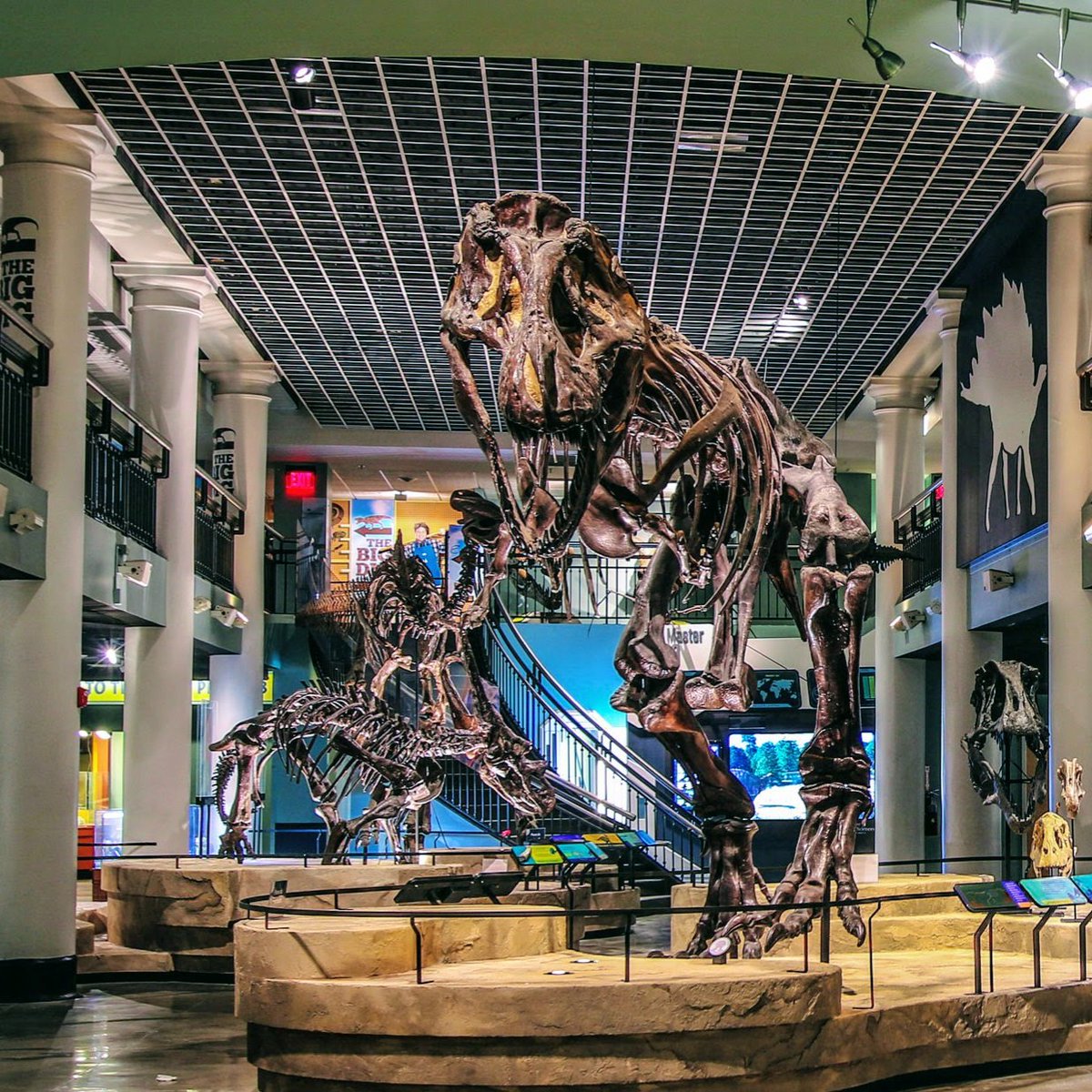 dinosaurbaksa's tweet photo. 충격이다. 미국 필라델피아의 드렉셀 대학교 자연과학아카데미가 오는 9월 30일 전시관 문을 닫는다. 이곳은 과거 유명 공룡학자 조지프 레이디와 에드워드 코프가 활약했던 곳. 근데 최근 운영비 상승과 관람객 감소가 이어지면서 가중된 재정난을 이겨내지 못하고 결국 폐쇄를 결정했다. https://t.co/093qVpkIt5