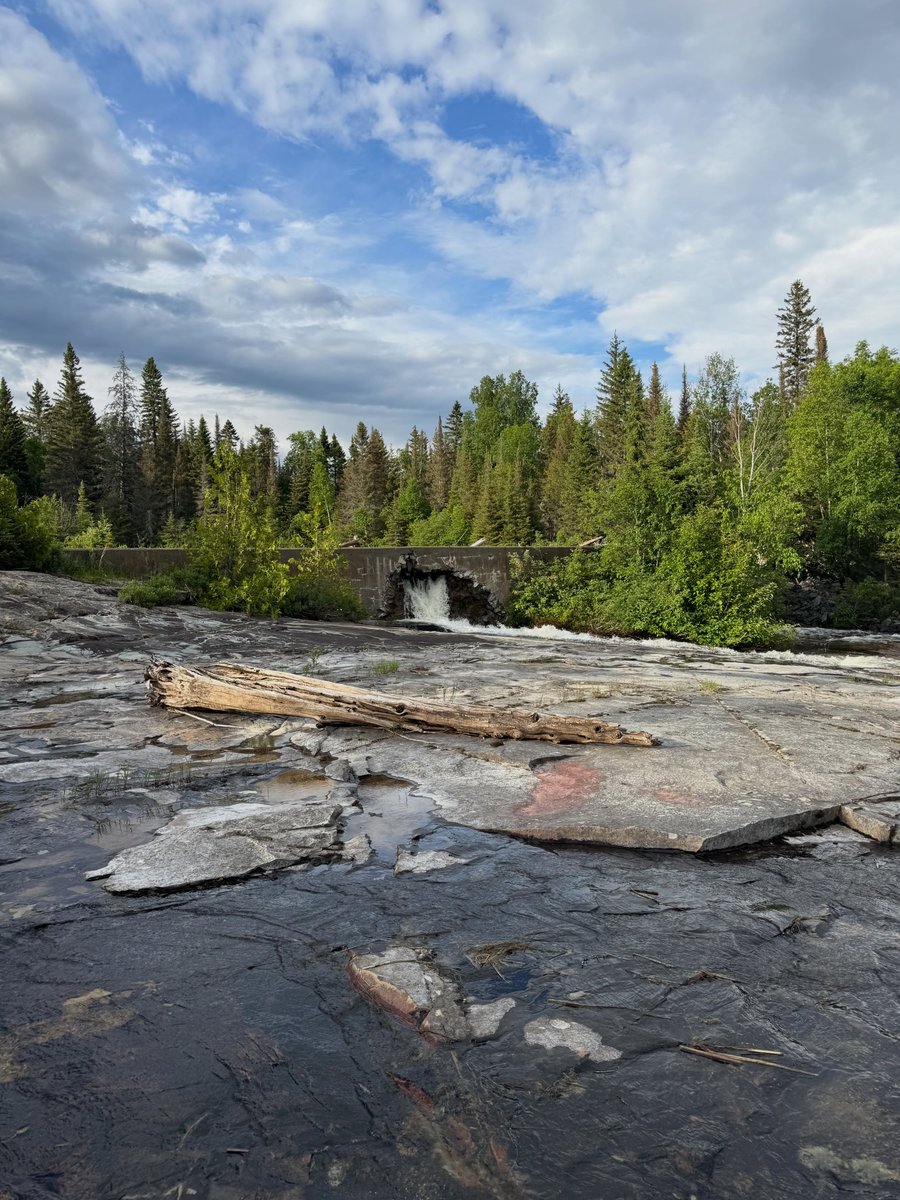 MarcoCierley's tweet photo. Raven Falls 
June 25, 2026 https://t.co/FkGEHvdMfA