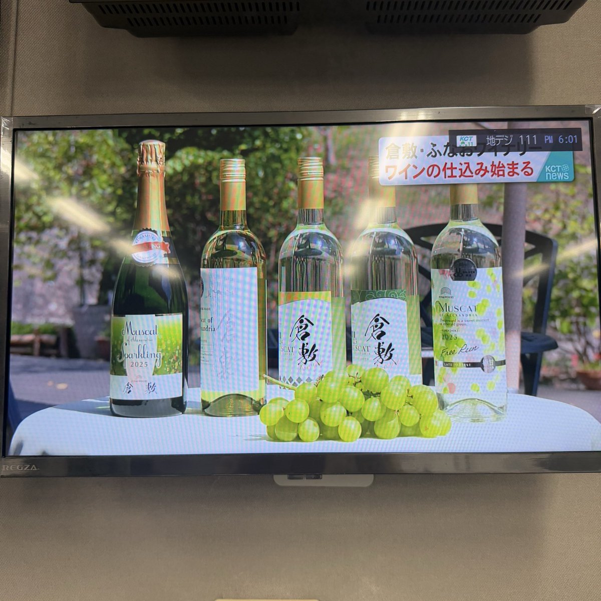 macyako53's tweet photo. #KCT #KCTニュース 9/2水曜 マスカットオブアレキサンドリアワイン初仕込み🍇玉野妊娠出産啓発授業 玉野渋川ライオンズクラブ玉野市役所新庁舎へ絵画寄贈🖼️しぇあわせ🍀希莉光あかり作品展✨気象情報☁️☔️
#倉敷ケーブルテレビ 一部視聴可能
→https://t.co/wJxJ4hFGdD
#フリーアナウンサー橋本昌子 https://t.co/9Bf2ys9P7x