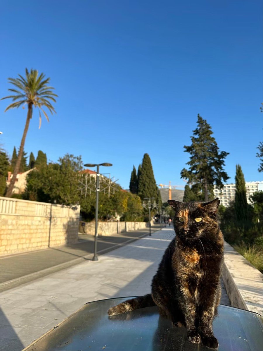 tabi_mami's tweet photo. 19時から世界比べてみましたでSixTONESがクロアチア🇭🇷のドゥブロブニクに行くみたい❤️
良いところだからテレビ見て気になったら是非行ってみてほしい～！！ https://t.co/my1jPteBnF