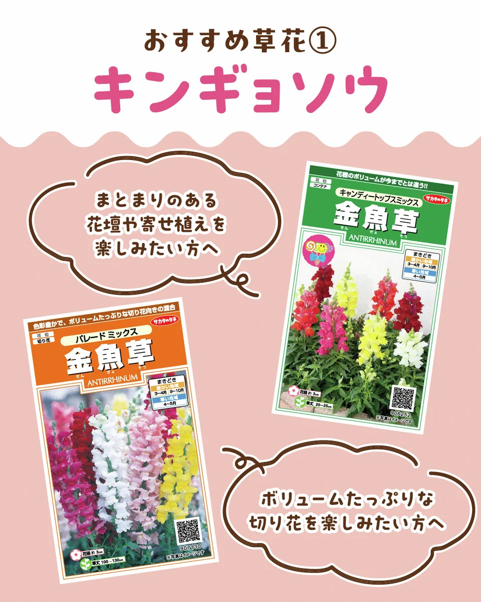 サカタのタネ_Seedfun.【公式】 on X: 