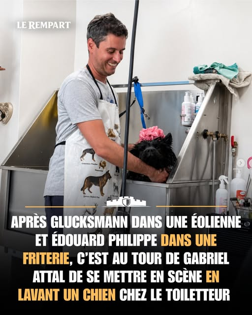 luckasdelille59's tweet photo. ‼️🇫🇷 𝗙𝗟𝗔𝗦𝗛 𝗜𝗡𝗙𝗢 — Dans le cadre de leur campagne présidentielle qui vient de démarrer, les candidats annoncés redoublent d'imagination pour leur communication.
Après Raphaël Glucksmann, qui a eu l'excellente idée de se rendre dans une éolienne avec monsieur 4%, Yannick Jadot, on a eu le doublé d'Édouard Philippe qui s'est mis à couper des cannes à sucre à la Réunion, puis à servir des frites à Tourcoing avec son grand compagnon de route, Gérald Darmanin.
Mais ça n'est pas fini : hier, c'était au tour de Gabriel Attal de se mettre en scène sur son compte Instagram en lavant un chien chez le toiletteur.
Absolument rien ne nous sera épargné dans cette campagne. Préparez-vous aux pires bassesses intellectuelles. 🤡
(Source : Instagram)