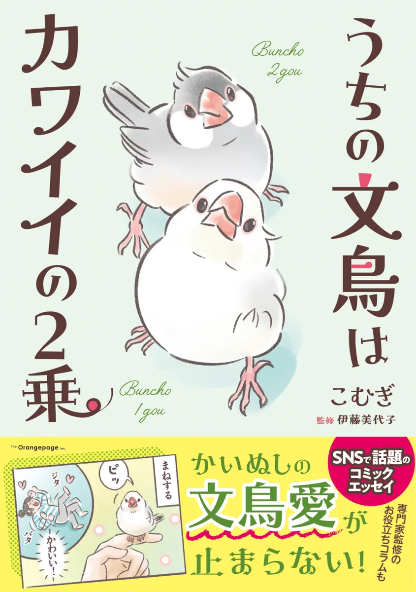 株式会社ことりカフェ【公式】鳥フェス宇都宮9/12-13 鳥フェス神戸9/26