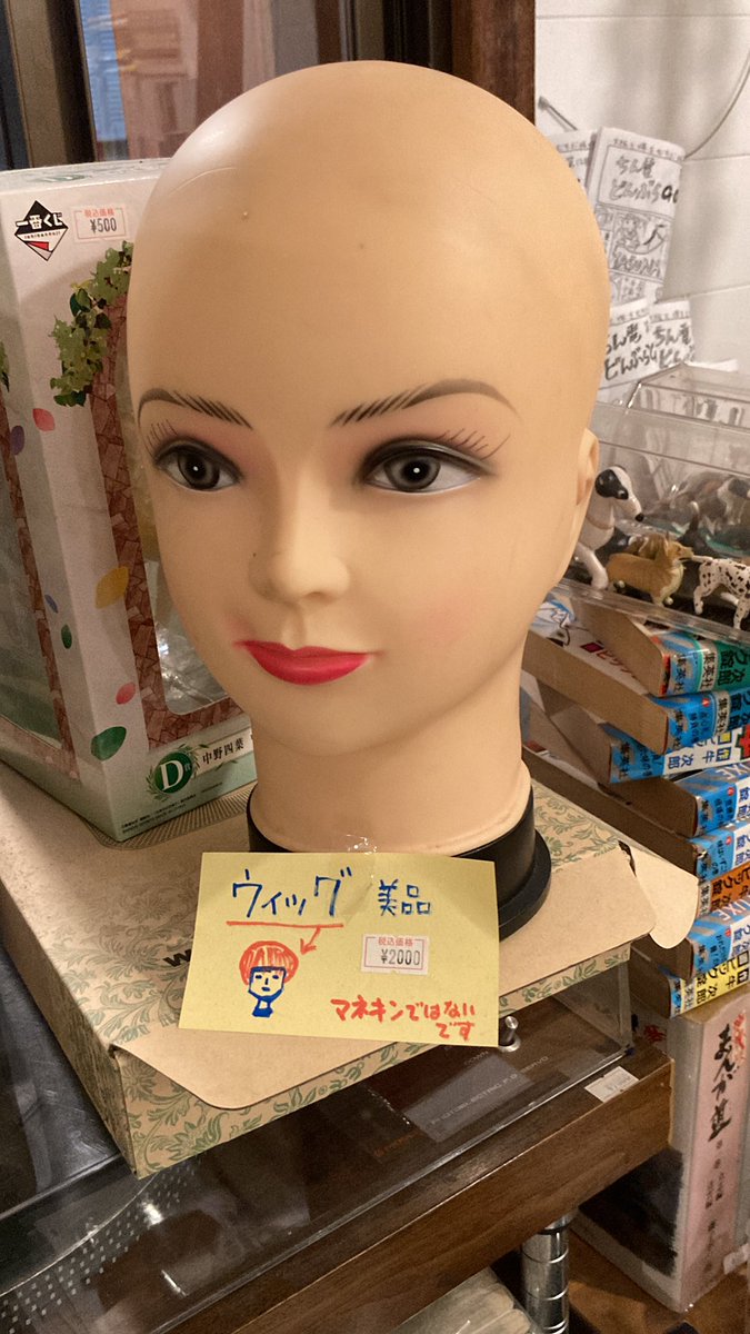 daigingabooks's tweet photo. 事件発生です！ウィッグが盗まれました！！　というかそんなもん盗んでどうすんねん…  ハゲるぞ、お前！ https://t.co/r9AIN4xEl0