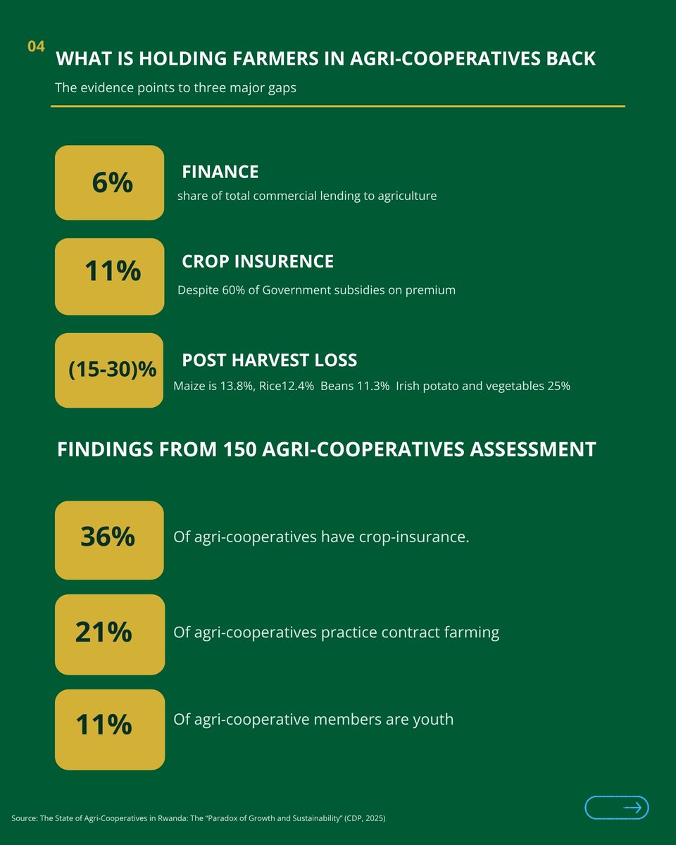 cdpafrica's tweet photo. Rwanda’s agri-cooperatives have great potential, but important gaps remain in professionalization and sustainability.

Read CDP’s Policy Brief to explore the key findings and recommendations for strengthening Rwanda’s agri-cooperatives:https://t.co/Ig3SwjCFcc https://t.co/nmDMW6j4su