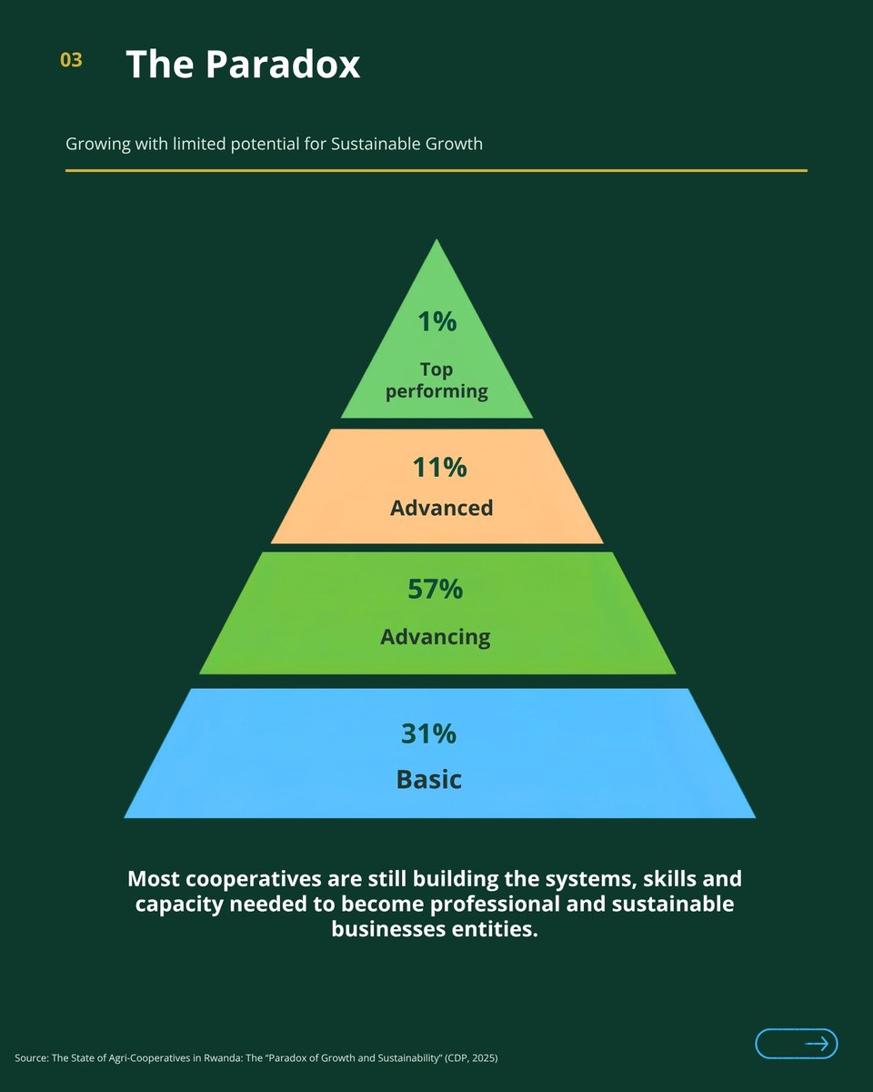 cdpafrica's tweet photo. Rwanda’s agri-cooperatives have great potential, but important gaps remain in professionalization and sustainability.

Read CDP’s Policy Brief to explore the key findings and recommendations for strengthening Rwanda’s agri-cooperatives:https://t.co/Ig3SwjCFcc https://t.co/nmDMW6j4su