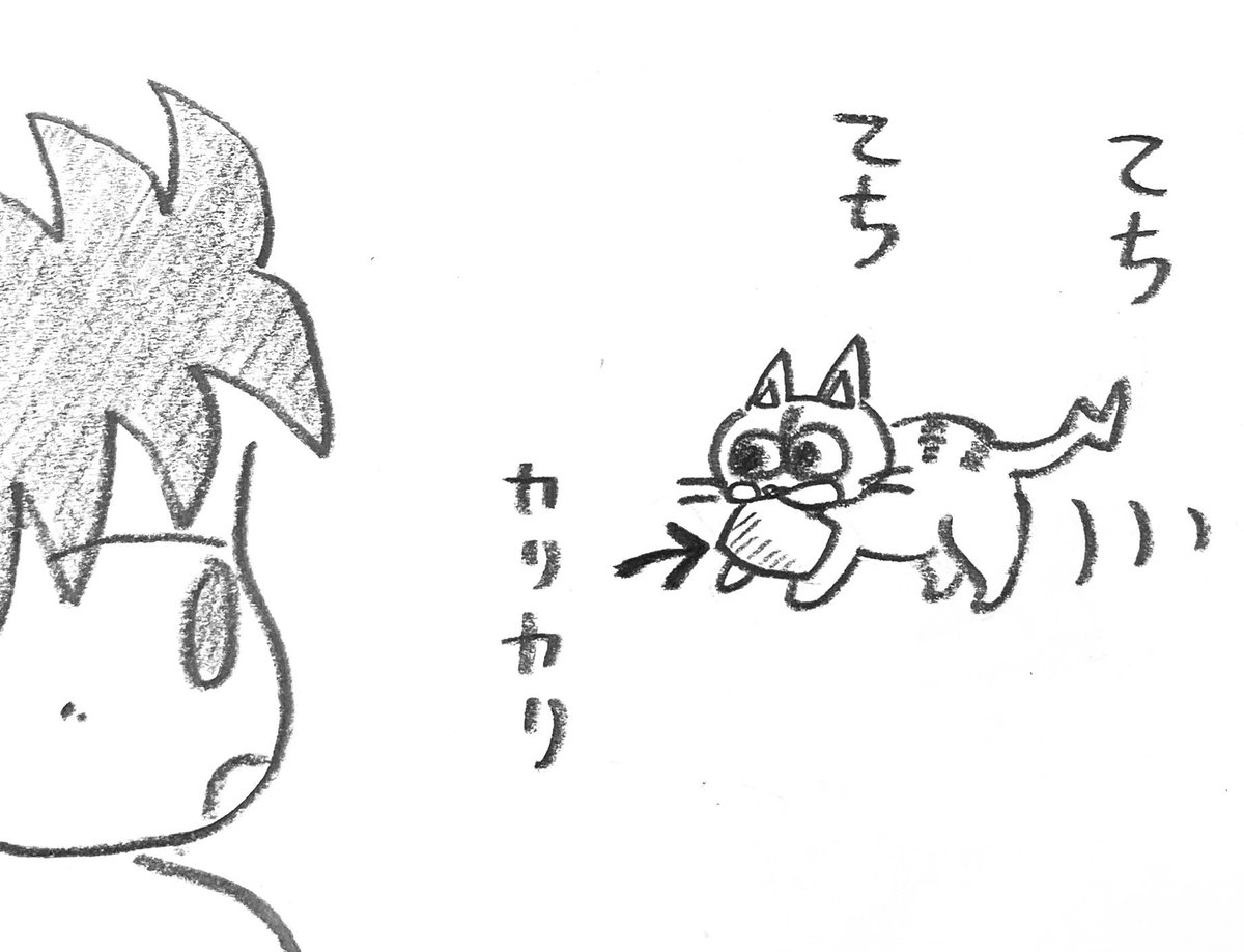Kezi999's tweet photo. 😸 飼い猫あるある

『置いてあった猫のエサが盗まれる』

#猫 #猫のいる暮らし https://t.co/SRnhvXRVyb