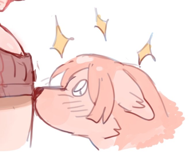 wngtngtng154768's tweet photo. 🐺🐺 https://t.co/yxXdkTcc0Q