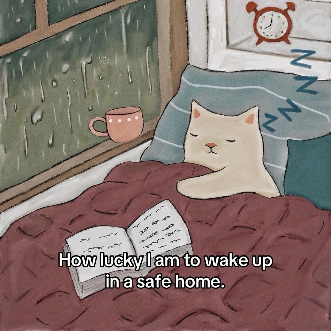 LovelyCuteDaily's tweet photo. https://t.co/65iwS7xlqb