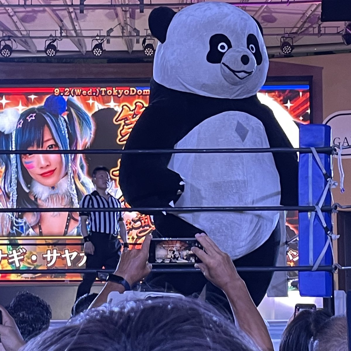 ken160ngc's tweet photo. アンドレザ・ジャイアントパンダデケーw
#ウナギ・サヤカ
#ウナギ・サヤカ40歳まだ誰のものでもございません https://t.co/NpLUgGRA5u