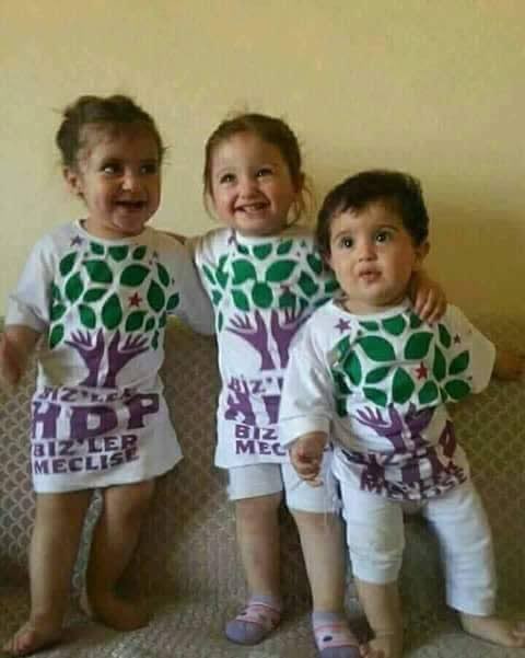 _trbznspr's tweet photo. @hamsibrook https://t.co/ndjupmHoWn