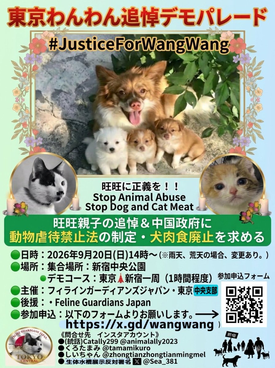 HgPZKypleR61580's tweet photo. 🔵🔴東京デモパレード参加者大募集🔴🔵

📣📣9月20日14時〜新宿中央公園集合📣📣

ワンワン親子と
中国猫拷問ビジネスで犠牲になった魂への
追悼パレードを予定してます‼️

皆様のご参加お待ちしております✊️‼️
#justiceforWangWang 

🟡参加希望は↓↓↓から🟡
https://t.co/7el6YLSDlX https://t.co/5nE3Ib7V8i