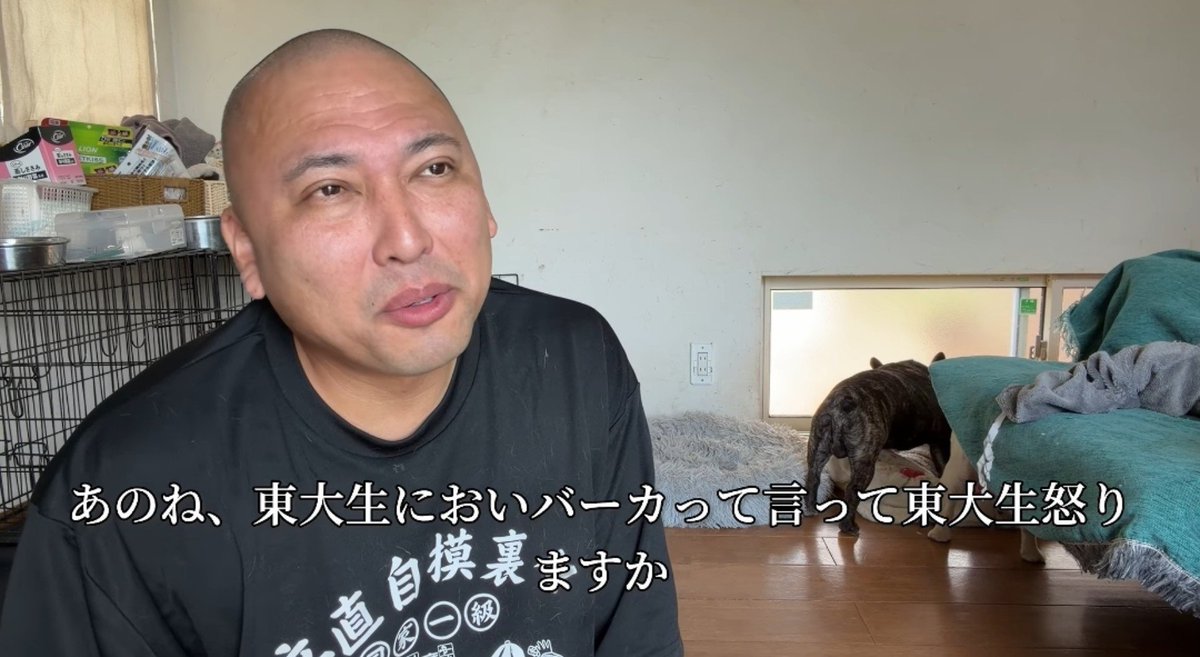 waraikatahohoho's tweet photo. バカって言われて怒るのはバカだけ https://t.co/gBcuIBgB6H