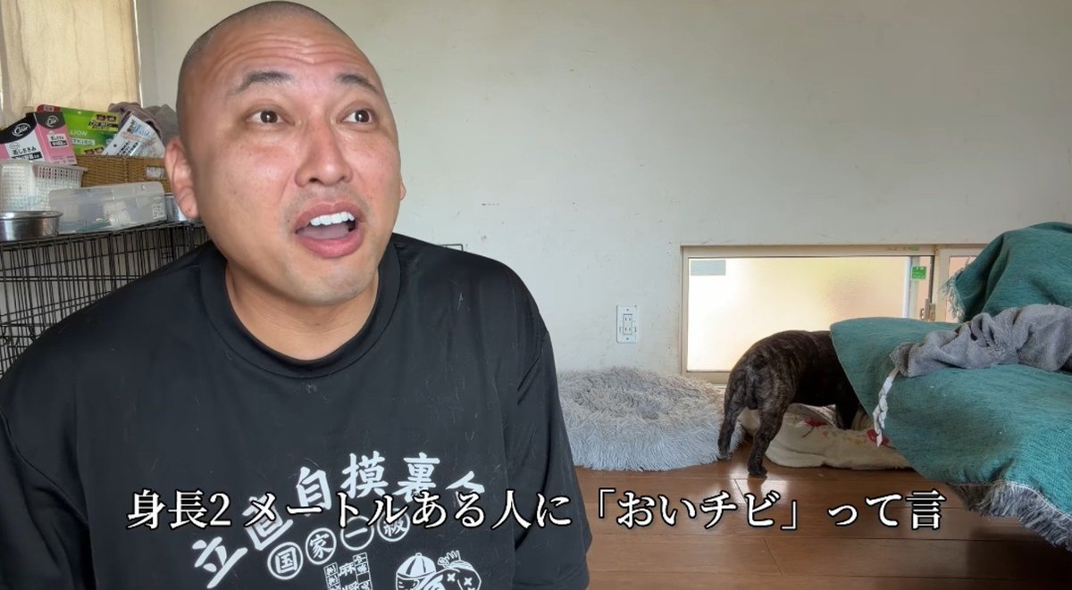 waraikatahohoho's tweet photo. バカって言われて怒るのはバカだけ https://t.co/gBcuIBgB6H