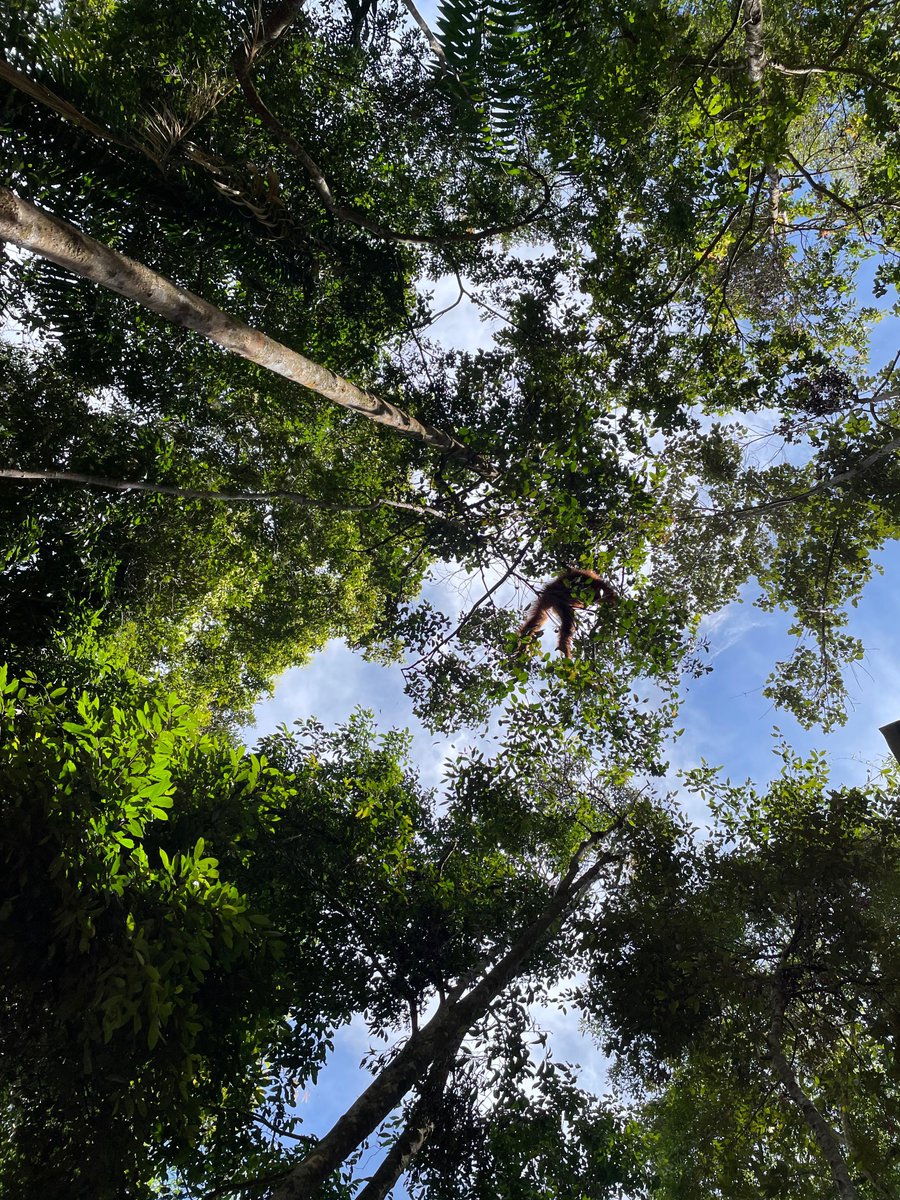 adfiananisa's tweet photo. “Berani mati, takut lapar,” katanya. 

Sebulan ini belajar penuh soal ketangguhan, memberanikan diri menghadapi segala inkonsistensi.

But i do love my challenging life, i really do. https://t.co/WPb3n3ckxy
