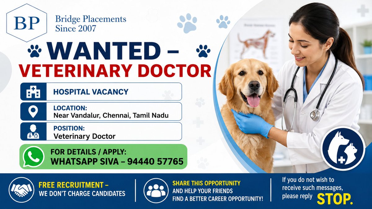 Bridgeplacement's tweet photo. 🐾 WANTED – VETERINARY DOCTOR 🐾

Bridge placements Gnanam T Savitha S Shapna S A

#petclinic #veterinary #bridgeplacementsjobs #AnimalHospital https://t.co/WtgofWfcVM