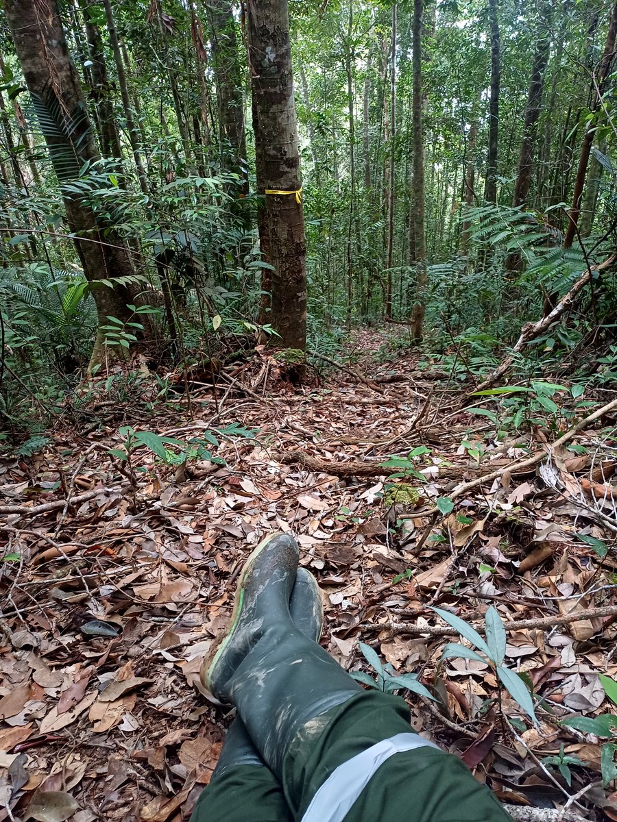 adfiananisa's tweet photo. “Berani mati, takut lapar,” katanya. 

Sebulan ini belajar penuh soal ketangguhan, memberanikan diri menghadapi segala inkonsistensi.

But i do love my challenging life, i really do. https://t.co/WPb3n3ckxy
