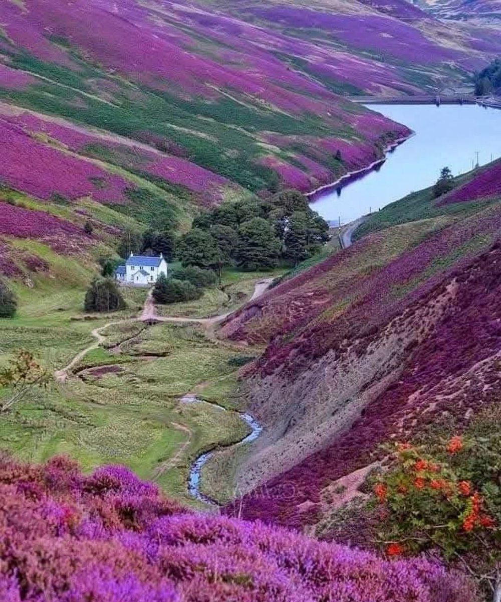 Hana_b30's tweet photo. Pentland Hills, Scotland 🏴󠁧󠁢󠁳󠁣󠁴󠁿 https://t.co/Ol9JAaX8gM