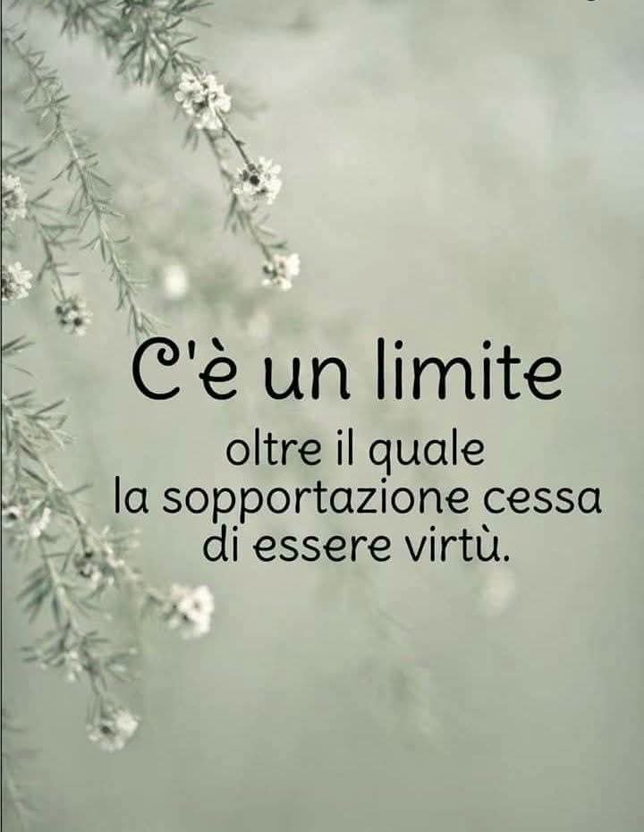 AldoStrippoli3's tweet photo. Buongiorno a tutti. https://t.co/93LqlZzzQh