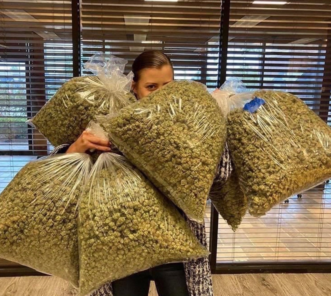 _StonersRUs_'s tweet photo. “How are you so chill all the time?”

Me: https://t.co/lQrLG8x31T