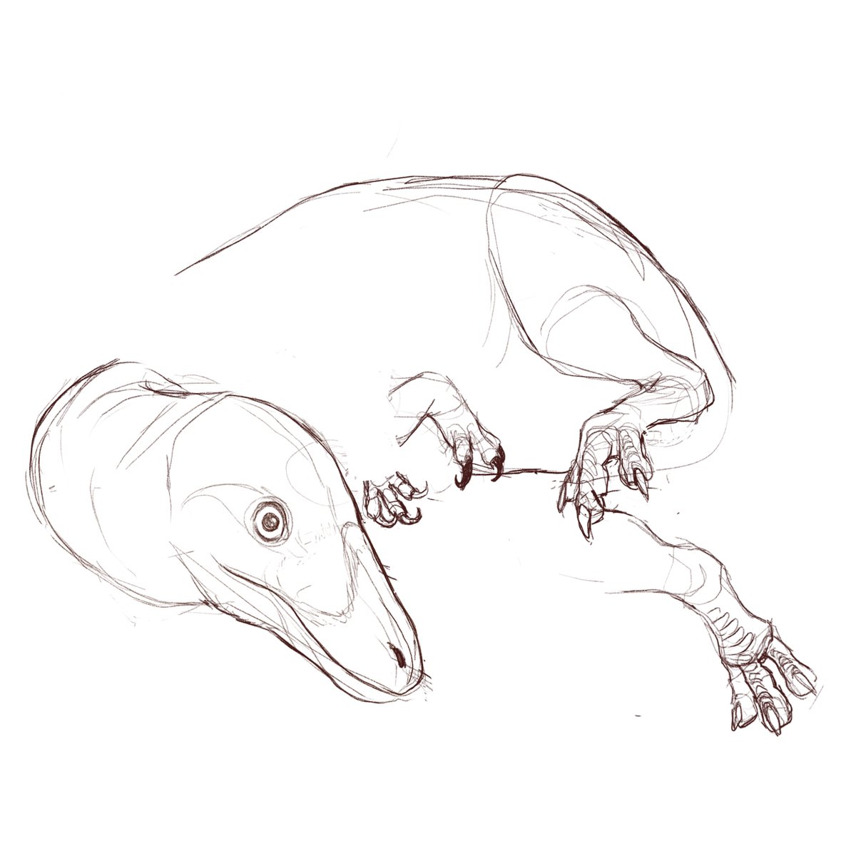 LeglessJr_Lemon's tweet photo. #Sketch dump
#paleoart https://t.co/mc7O8iXrgH