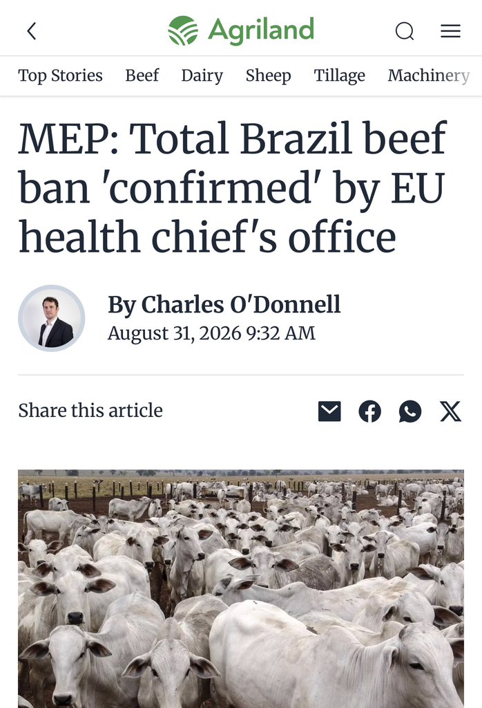 LizWebsterSBF's tweet photo. 🚨 BREAKING: The EU has confirmed a total suspension of Brazilian 🇧🇷 beef and other animal-product imports from tomorrow bc Brazil cannot demonstrate compliance with EU rules on antimicrobial growth promoters and critically important antibiotics.

✅ Northern Ireland will be protected by EU rules. 

❌ Brexit Britain will not.

While the EU protects its consumers, antibiotics and farmers, the UK Government promotes Brazilian beef and tells British farmers that procurement will save them.

Procurement does not stop lower-standard imports entering supermarkets, processors, restaurants and public catering or prevent Britain becoming the dumping ground for meat rejected by our nearest market.

This is precisely why food and farming must be covered by dynamic alignment with the EU. Buy British slogans are no substitute for enforceable import standards.
@amcarmichaelMP