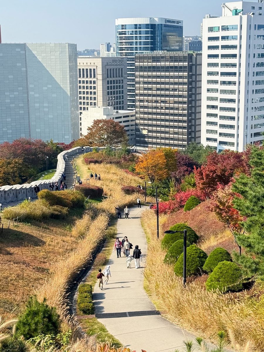 letstalkaboutKR's tweet photo. ที่ดูใบไม้เปลี่ยนสีสวยๆในโซลอีกที่ ต้องให้!
“Baekbeom Square” อยู่ใกล้ๆกับ สวนสาธารณะนัมซาน ตอนช่วงใบไม้เปลี่ยนสีสวยมาก 🍁🍂ความดอกหญ้า ความใบไม้ส้มแดง ความกำแพงเมือง ความวิวนัมซานทาวเวอร์ ที่สุดแล้วตรงนี้ ปักหมุด จดลงลิสต์ไว้ได้เลย 

> แนะนำมาช่วงบ่ายๆเย็นๆหน่อย แสงจะสวยละมุนมากค่า
> หลีกเลี่ยงช่วงเที่ยงบ่าย ช่วงนี้นะ ด้วยความออทัมที่สวยมากๆ พนักงานที่อยู่ออฟฟิศแถวนั้น มาเดินเล่นหลังกินข้าวกันเยอะมากๆ คนยิ่งแน่นๆเลย
> เที่ยวเป็นรูทแบบนี้ได้ค่ะ ไปฮันนัมดงก่อน นั่งรถเมล์ไปแฮบังชน แล้วก็นั่งรถเมล์มาที่สวนนี้ ลองดูการเดินทางใน map ได้เลยน้า

การเดินทาง 
รถไฟใต้ดินสถานี Hoehyeon ทางออก 4 หรือหาเส้นทางจาก map ได้เลย

#รีวิวเกาหลี
