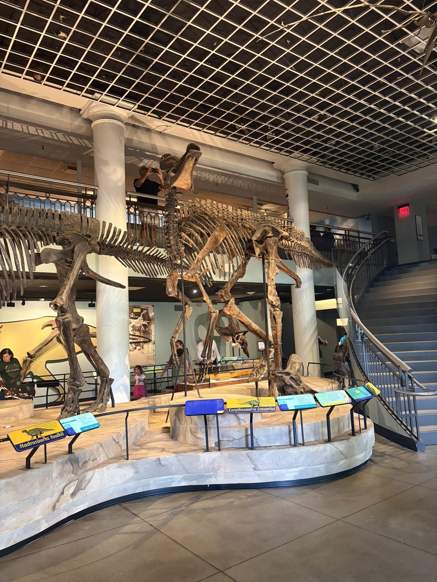 vampirelechery's tweet photo. #saveANSP drexel you cannot take my happy place away from me this place has been so near and dear to me since i was a child https://t.co/yrVUkgMKgJ
