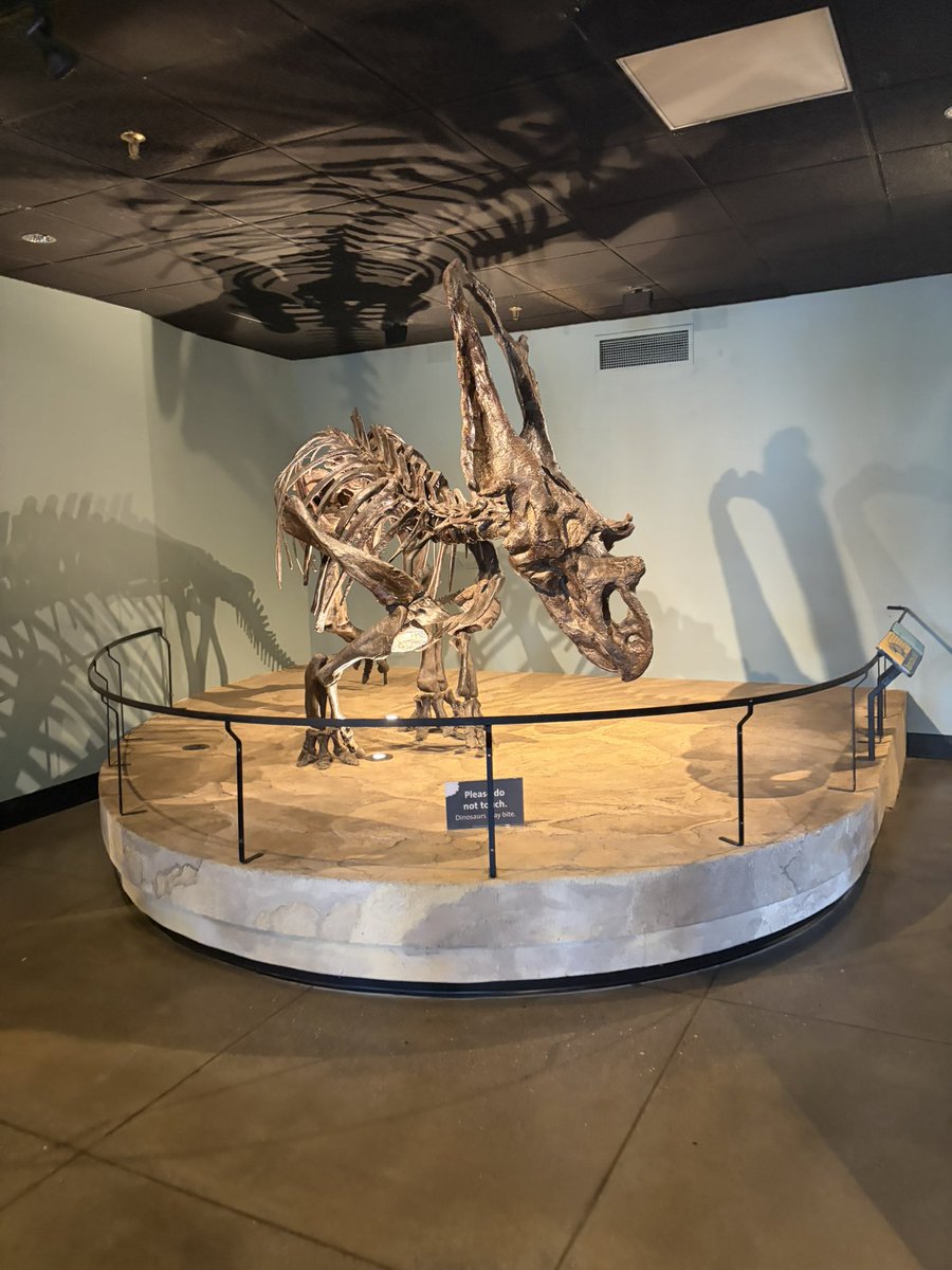 vampirelechery's tweet photo. #saveANSP drexel you cannot take my happy place away from me this place has been so near and dear to me since i was a child https://t.co/yrVUkgMKgJ