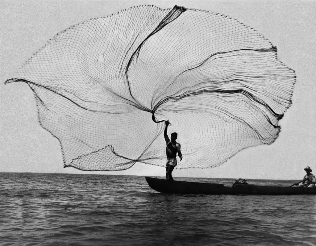 Imagein8's tweet photo. Pavo Real Del Mar (Peacock of the sea). Santa Marta, Colombia, 1945, 📸 by Leo Matiz
v/ #eyeonaxis #ImageIn8 #Photo #Photography https://t.co/JQmIaHKRK4