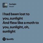 Photo by ‍ ‍ 𝘰𝘩, ‍ ᵐʸ ‍ 𝓼𝐮𝐧𝐥𝐢𝐠𝐡𝐭 ‍ … ‍ (@sunlightpalms)