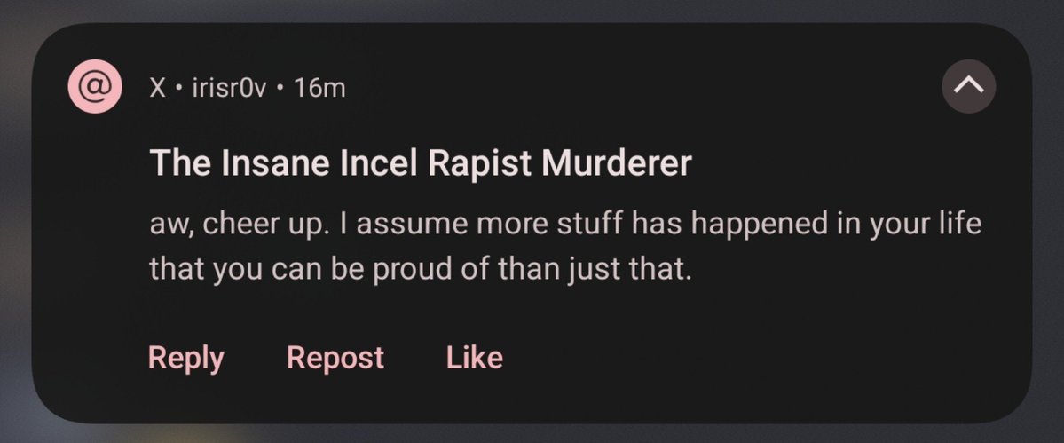 irisr0v's tweet photo. thank u insane incel rapist murderer https://t.co/vXxCQkrhIP